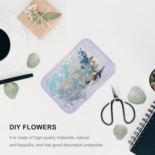 Kit de material de flores secas para manualidades miniatura 4