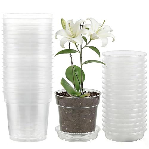 LOLYSIC Lot de 20 Pot de Fleur Transparent en Plastique 11,5 cm avec Soucoupe, Godet de Culture avec Trous de Drainage, Pot pour Semis, Boutures et Plantes...