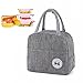 Mecctuck Lunchtasche, Lunch Tasche Isoliertasche, Picknick Tasche, Kühltasche, Lunch Bag für Wasserdichtes Gewebe Faltbare Picknick-Handtasche für Frauen, Erwachsene, Studenten und Kinder (Grau)
