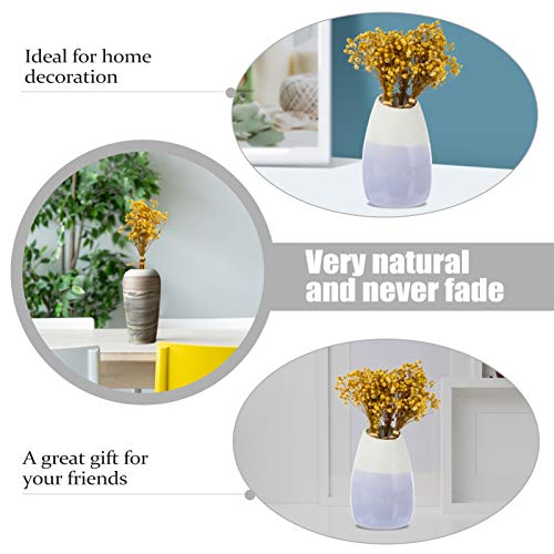 Garneck 3 Bunches Dried Flowers Babies Breath Flowers Natural Real Gypsophila Plants Bouquets Lasting Floral Décor For Diy Flower Arrangement Home Fragrance (Yellow) #TOP2