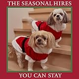 Sonic and the Shreddogs Records