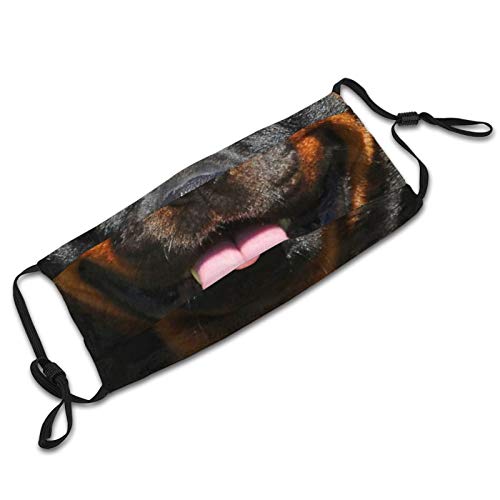 Funny Dog Rottweilers Face Mask Reusable Washable Dog Face/Mouth Cover For Man & Women With 2 Pcs Filters Balaclava #TOP5