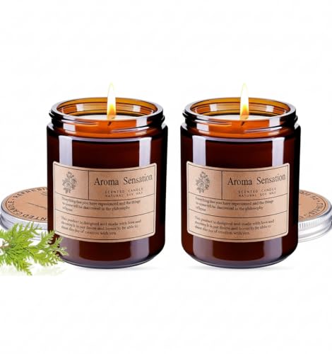 Image of VERVENIX Pack of 2 Aroma Sensation Scented Candle - Delicate Aroma | Natural Soy Wax & Essential Oils | Long-Lasting Candle for Relaxation, Meditation & Home Decor
