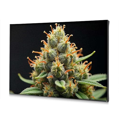 Toile décoration salon cannabis et pistils oranges vibrants
