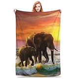 Bidesk Elephant Blanket - Sunset Shoreline Embrace, Soft and Cozy Flannel Throw, Warm Lightweight Fuzzy Blankets for Couch, Bed, Outdoor, and Travel Use 60'x50'