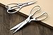 Yoshihiro All Stainless Steel Pull-Apart Japanese Kitchen Shears/Scissors 8.25 Inch (210mm) - Made in Japan