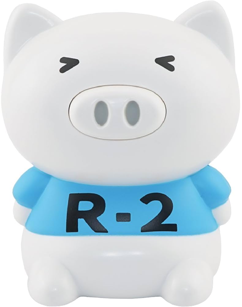 Amazon.co.jp: ハシートップイン Hashy 体操ブーブー第2 V1