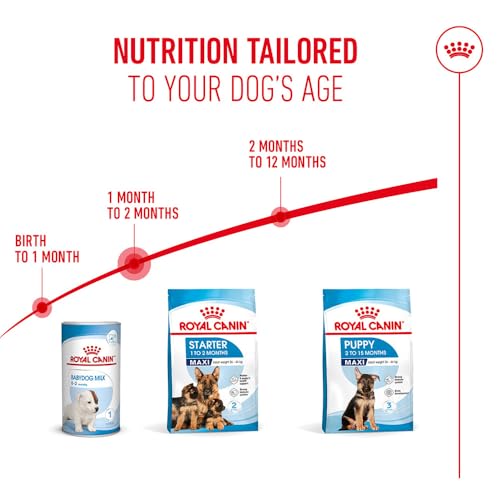 Image of Royal Canin Maxi Starter, Mother & Babydog Food, 15 Kg, Dry Food, Supports Complex Natural Defence & digestive health, Provides Gestation /Lactation Support, Supports Easy rehydration