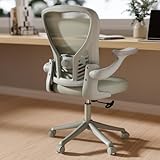 GYI Ergonomic Office Chair, Mesh Desk Chair with Adjustable Lumbar Support and 3D Flip-up Arms, Computer Chair with Wheels, All Grey