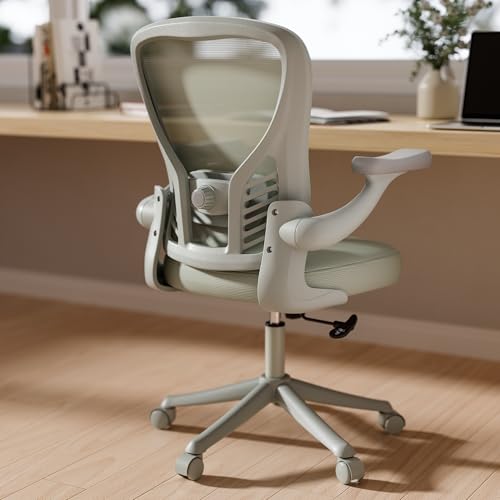 GYI Ergonomic Office Chair, Mesh Desk Chair with Adjustable Lumbar Support and 3D Flip-up Arms, Computer Chair with Wheels, All Grey