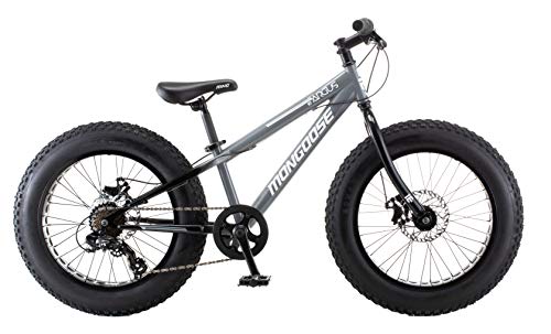 Mongoose Argus St Kids Fat Tire Mountain Bike For Boys And Girls, 20 X 4 Inch Tires, 7-Speed, 10.5-Inch Steel Frame, Mechanical Disc Brakes, Twist Shifters, Grey #TOP6