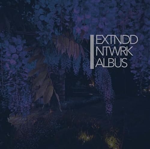 EXTNDDNTWRK - Albus - Vinyl (translucent blue vinyl 2xLP + insert)
