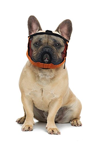 Brachycephalic Bozal para perros con hocico aplanado: bulldog inglés, bulldog francés, pekingés,...