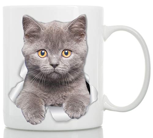 Best Review British Shorthair Cat Mug - Grey Kitten Ceramic Coffee Mug - Perfect British Shorthair Cat Gifts - Funny British Shorthair Kitty Cat Coffee Mug for Cat Lovers (11oz) Best Review British Shorthair Cat Mug - Grey Kitten Ceramic Coffee Mug - Perfect British Shorthair Cat Gifts - Funny British Shorthair Kitty Cat Coffee Mug for Cat Lovers (11oz)