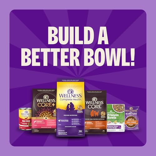 Wellness Complete Health Adult Dry Dog Food, Wholesome Grain Kibble, Natural, Chicken and Oatmeal Recipe, 5 lb Bag - image 8