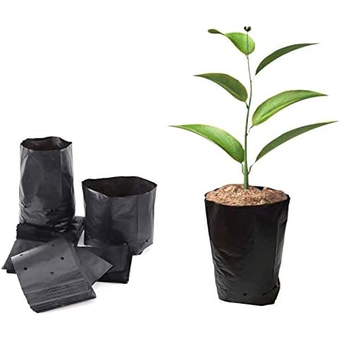 Bolsas de Plástico Engrosadas para Plantas ADLOASHLOU Cover