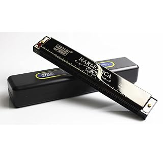 Harmonica Vibrato Harmonica Blues C 24 orifices orgue harpe Gaeta avec étui instruments professionnels mes mélodies - Les Beatles, Paul McCartney, John Lennon, RIngo Starr, George Harrison