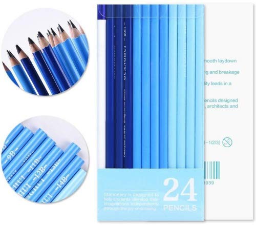 24 Sketch Pencils - Professional Art Sketching Pencils Travel Set Artists Drawing Kit Graphite Charcoal Pencils For Painting, Sketching, Drawing, Shading #TOP6