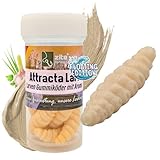 Zite Fishing Attracta Larv Floating | 8 Stück Aromatisierte Gummiköder Forellen-Angeln | Künstliche Larven Rotationsköder Auftreibende Wirkung | Phthalatfrei & Nachhaltig (12. Creme Knoblauch)