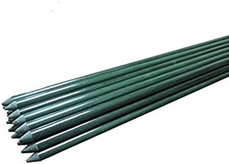 EcoStake Plant Stakes, Garden Stakes, 4-Feet, 50 Pack, 5/16-Inch Dia,Garden Poles Tree Stake Cucumber Stake Fence Stake Never Rust