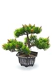 KÜNSTLICH: Die perfekte Blumendekoration, die nicht verwelken kann. Dieses künstliche Bonsai-Bäumchen ist nicht nur hübsch anzusehen mit seinem kleinen Untertopf und den grünen Zweigen, er ist auch super einfach in der Pflege.