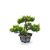 HEITMANN DECO Bonsai – künstliche Pflanze grüne Pflanze mit Topf Kleiner Baum Kunstblume – Dekoration