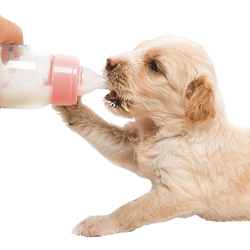 Lait pour chiot Schecker Dogreform pour éviter les troubles digestifs