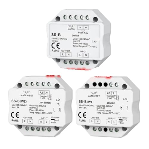 Interrupteur à clé SS-B(WT) commutateur intelligent 1CH pour rénovation électrique - 3
