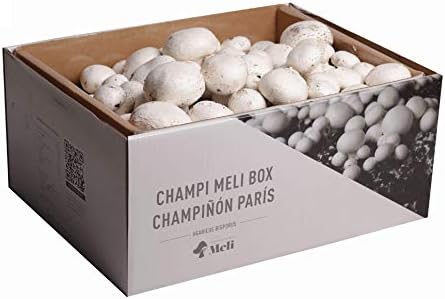 Setas Meli - Kit Autocultivo | Champiñón París, Fresco y Ecológic...