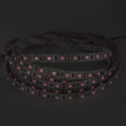 Tira LED Flexible 5m 72W 300 LEDs Blanco 12V miniatura 4