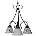 Boston Harbor F3-3C3L 8275638 Dimmable Chandelier, (3) 60/13 W Medium A19/Cfl Lamp, Chain Hanging, Glass Shade