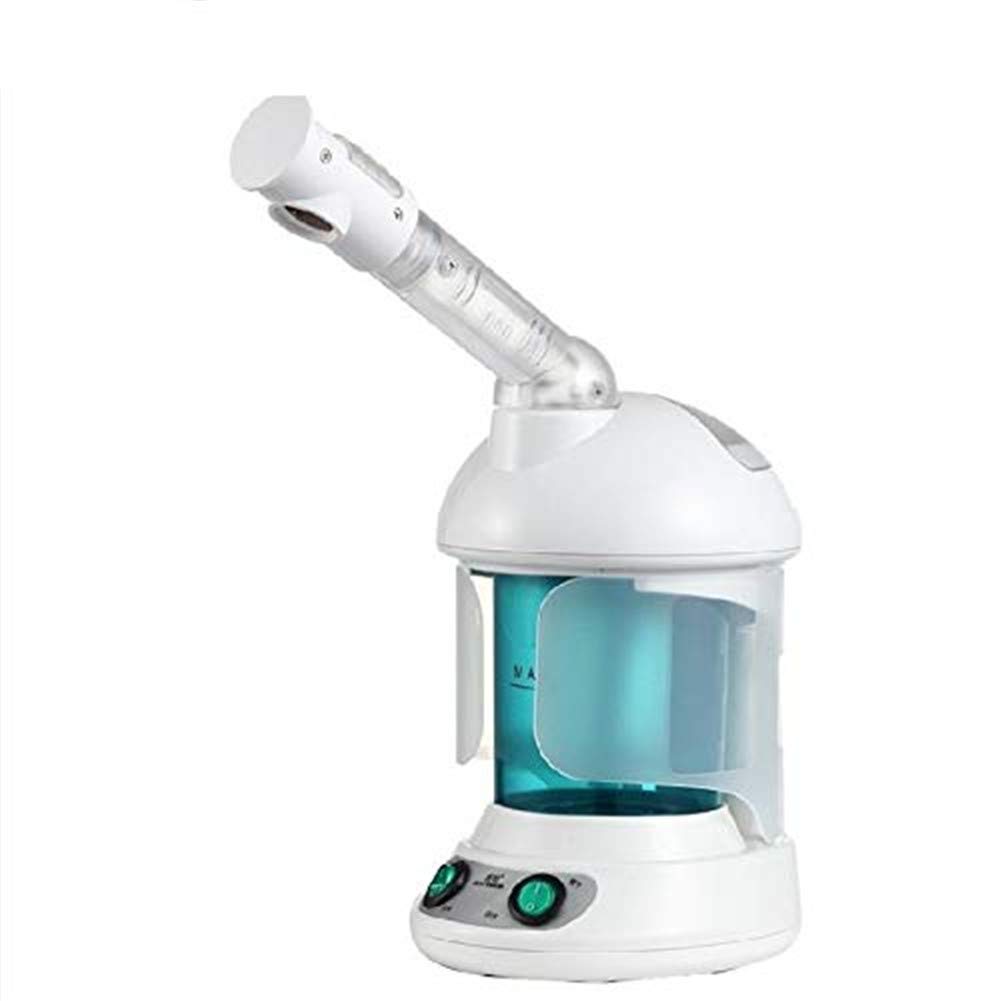 Buy GEER 2in1 Hair and Facial Steamer, Nano Ionic Face Steamers for