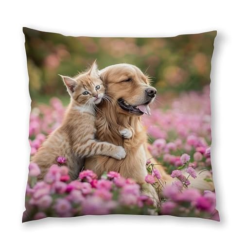 Housses de coussin imperméables 45x45 cm pour protéger vos oreillers de canapé