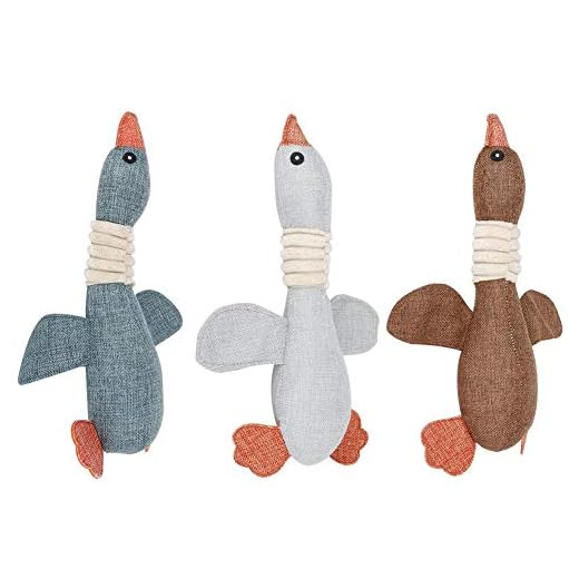 Dog Squeakers, 3PCS Mjuka giftfri hundleksaker valp tuggben sällskapsdjur tandrengöring leksak interaktiv leksak