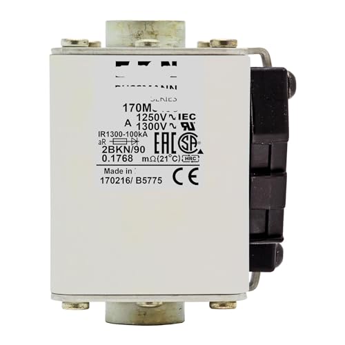 Fusible 170M5495 à extrémité plate standard européen série Cube