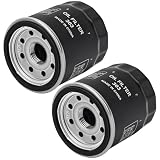 Aouton (2-Pack) 2520799 3084963 Oil Filter 2521424, 3089996, 3087068 OEM
