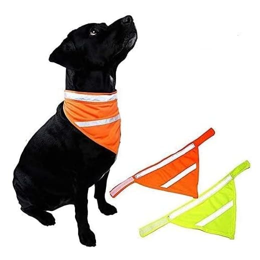 Kalining 2 Pack REFLECTIVE DOG BANDANA Large/medium/small with Personalized Neon Color,Safety Dog Bandana Orange Dog Scarf High Visibility Bib Dog Walking at Night(L)