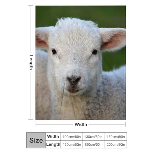 Couverture polaire chaude pour lit : en finir avec le froid grace au motif mouton - 3