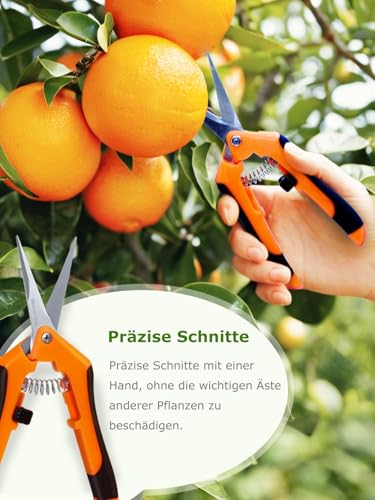 Linkgood 2 Stück Klein Gartenschere, Titanbeschichtete Klingen, Ergonomischer Feststellgriff für präzises Schneiden, Ernteschere für Blumen, Früchte, Gemüse, Hecken (Grün & Orange)
