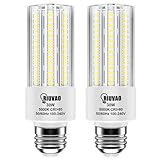 RIUVAO 2pack Led Light Bulb, Equivalent 250w Led...