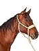 Classic Equine Wide Nose Flat Braid Halter and Leadrope, Tan