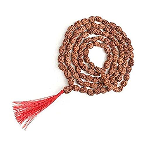 Mala 2 perles Mukhi Rudraksha contre le stress stress relaxation Java