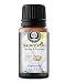 Blue Hawaii Fragrance Oil (15ml) for Diffusers, Soap Making, Candles, Lotion, Home Scents, Linen Spray, Bath Bombs, Slime