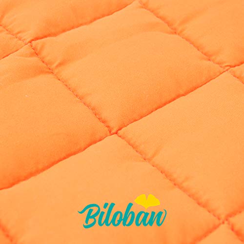 Image of Nap Mat, Toddler Nap Mat with Blanket, Fish, 50 inch x 21 inch | Portable, For Preschool Kindergarten Daycare, Roll up Sleeping Bag for Kids, Quilted, Super Soft & Cozy
