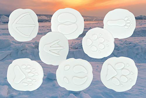 Investigate - Polar Footprints