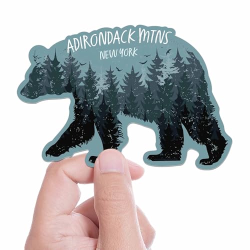 Black Bear New York Adirondack Mountains Bumper Sticker, Cute Upstate