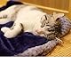 furrybaby Premium Flauschige Fleece-Hundedecke, weicher und Warmer Haustierwurf für Hunde und Katzen (Blau, Größe S (60 x 80 cm)