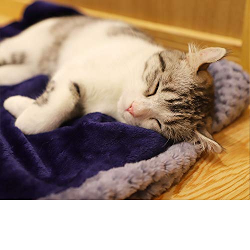furrybaby Premium Fluffy Fleece Dog Blanket, Soft and Warm Pet Throw for Dogs & Cats - Image 6