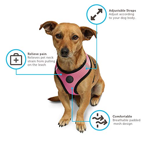 Paws & Pals Pet Control Harness For Dog & Cat Easy Soft Walking Collar, Small #TOP2
