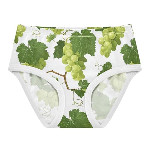 Wusikd Green Grapes Leaves Girls' Underwear Cotton Girls Briefs Soft Toddler Underwear 2T